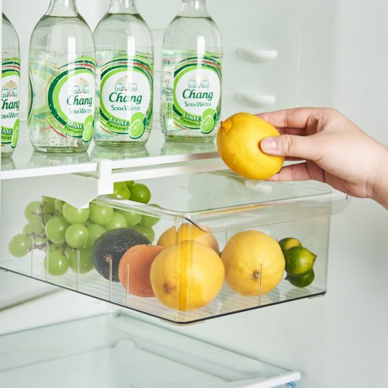 Under-Shelf Refrigerator Drawer Organiser with Slide Rail