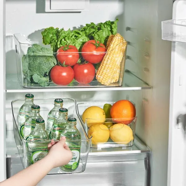 Shelf organizer container with handles